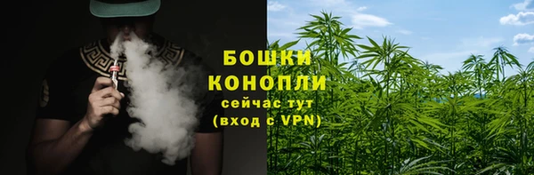 альфа пвп Бородино